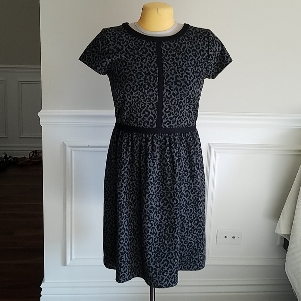 Loft Animal Print Fit and Flare Dress